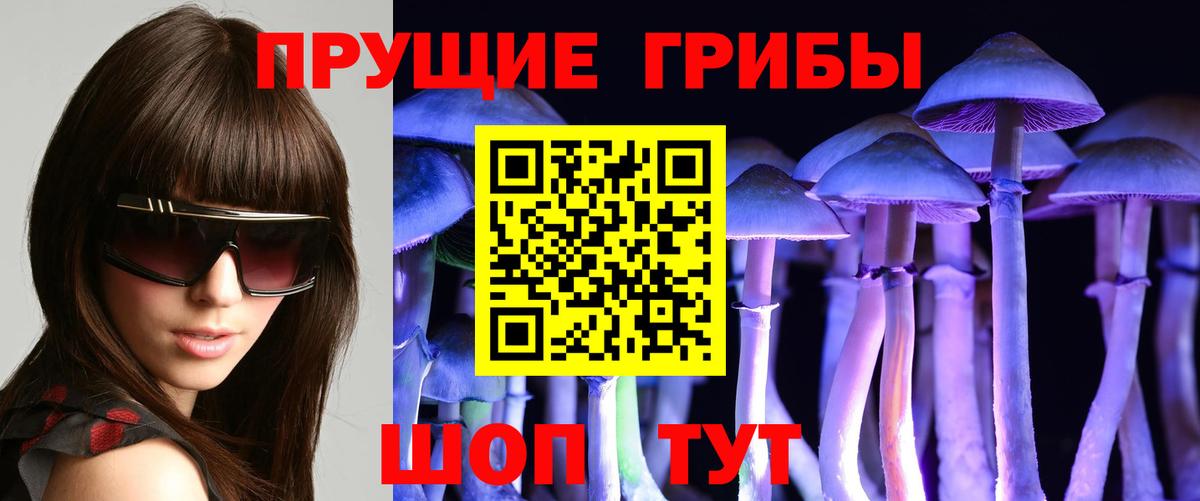 Галлюциногенные грибы MAGIC MUSHROOMS Дагестанские Огни